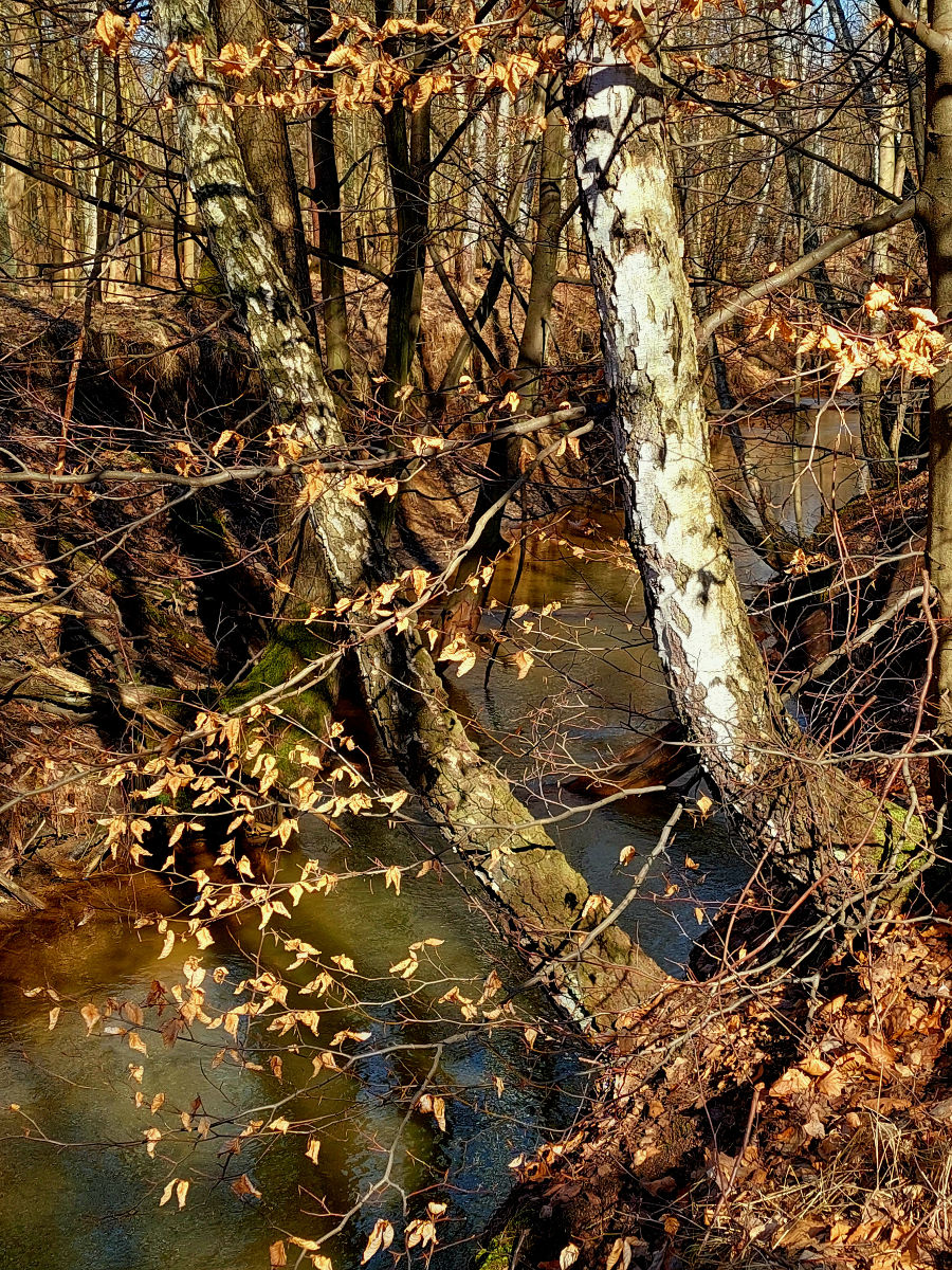20260305_103624.jpg