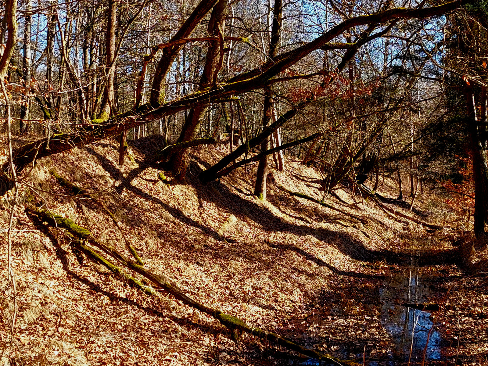 20260305_104205.jpg