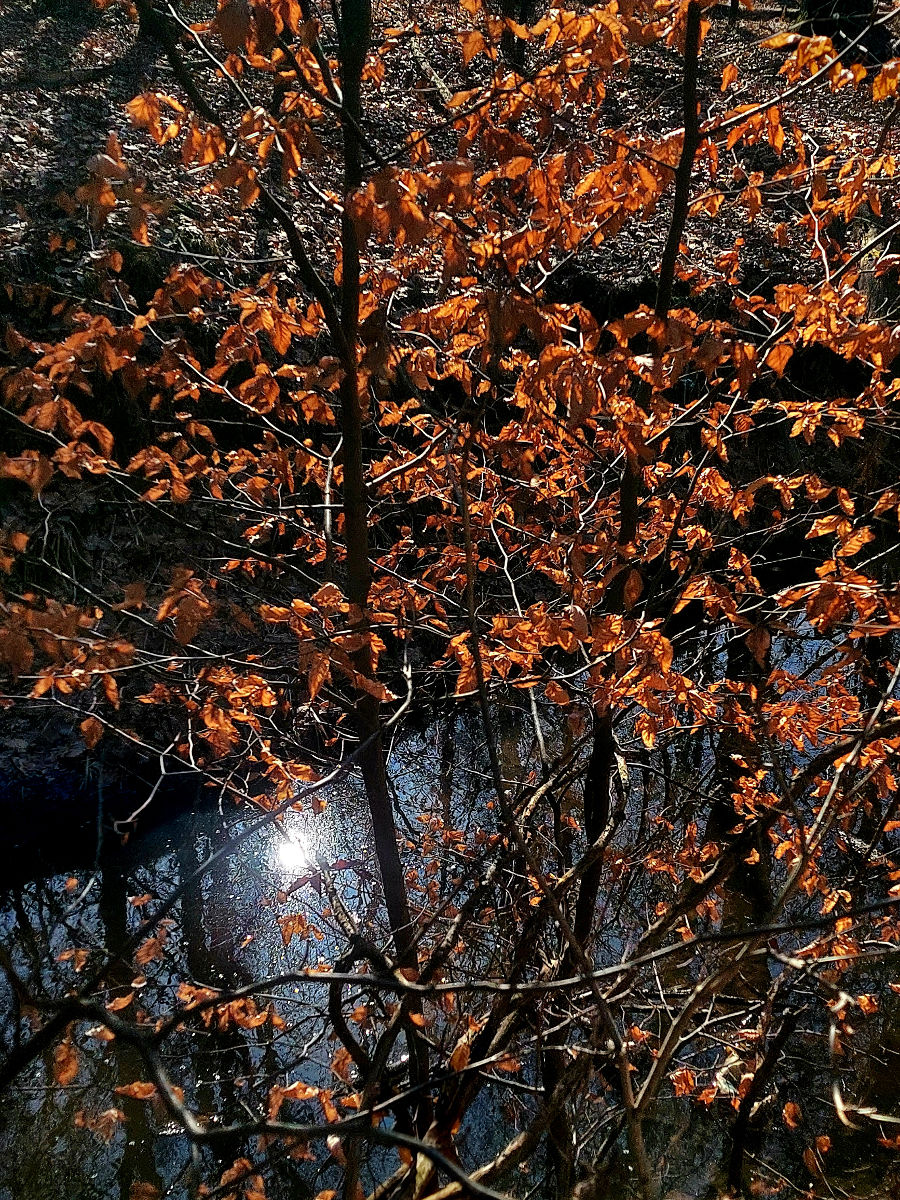 20260305_104845.jpg