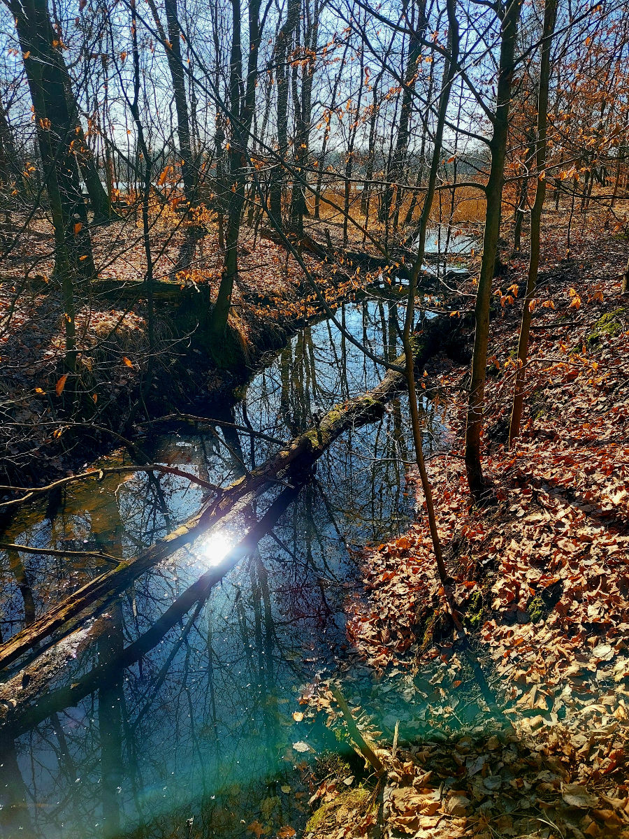 20260305_104947.jpg