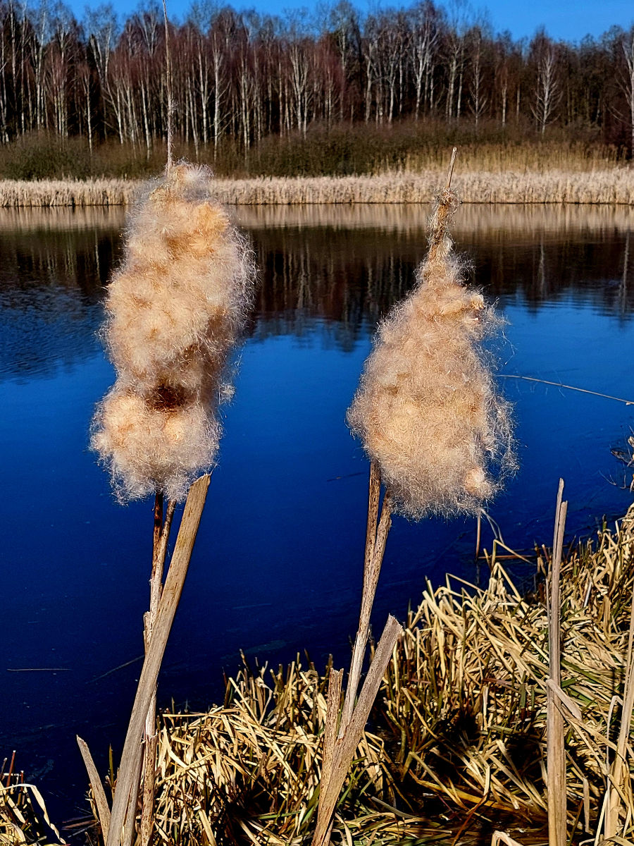 20260305_105404.jpg