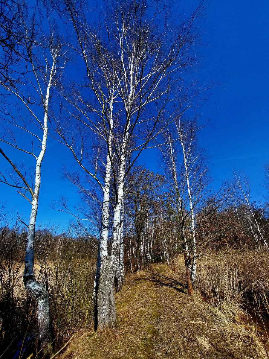 20260305_105512.jpg