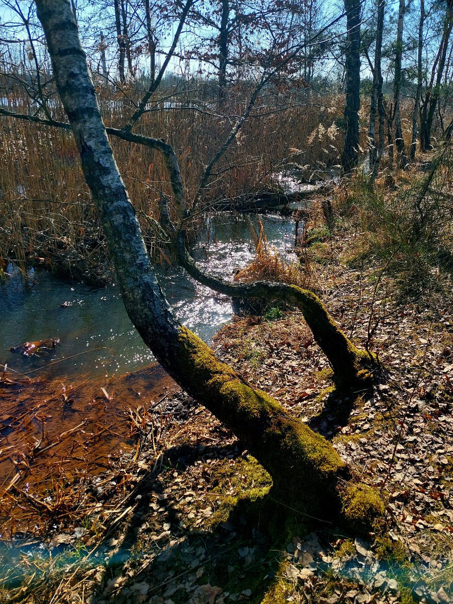 20260305_105717.jpg