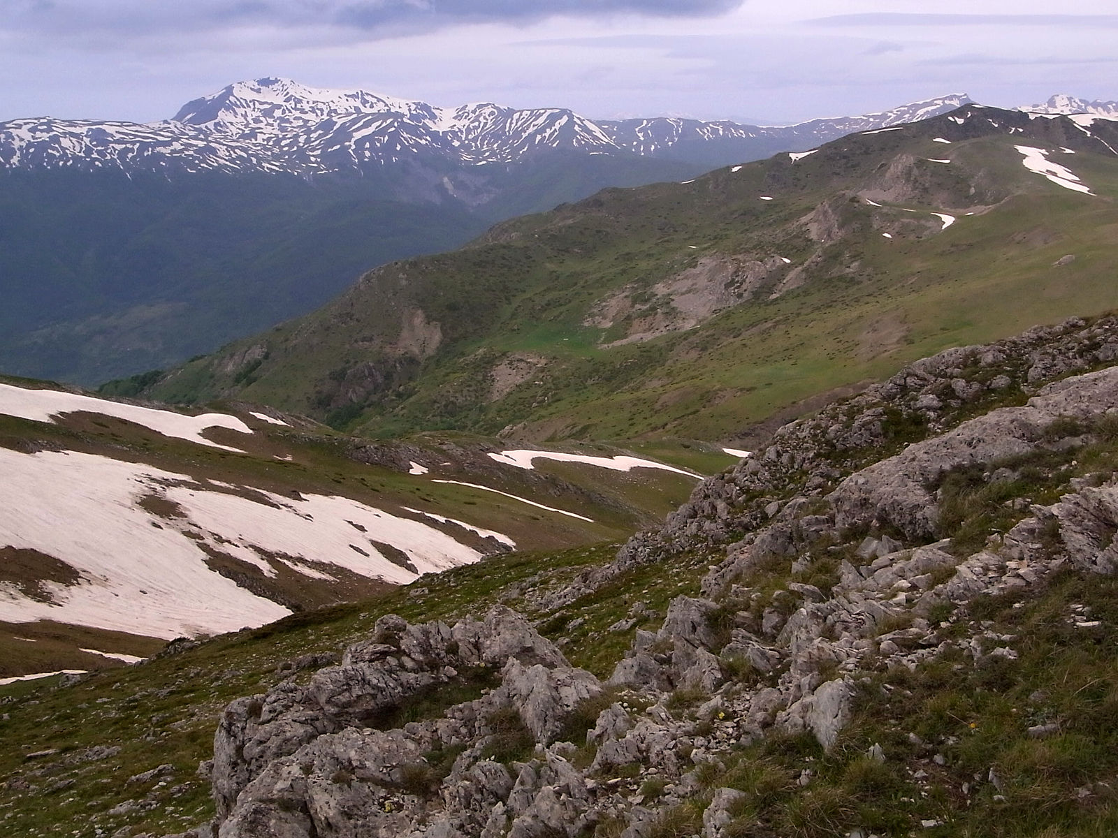 RIMG1721.JPG