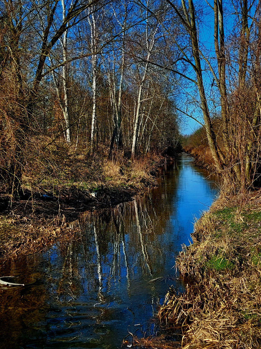 20260305_111327.jpg