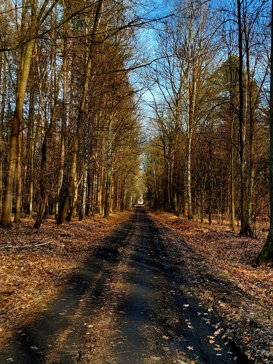 20260308_151437.jpg