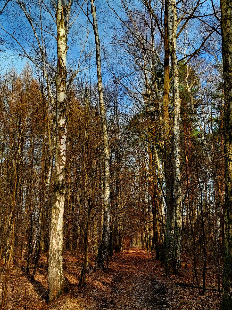 20260308_152606.jpg