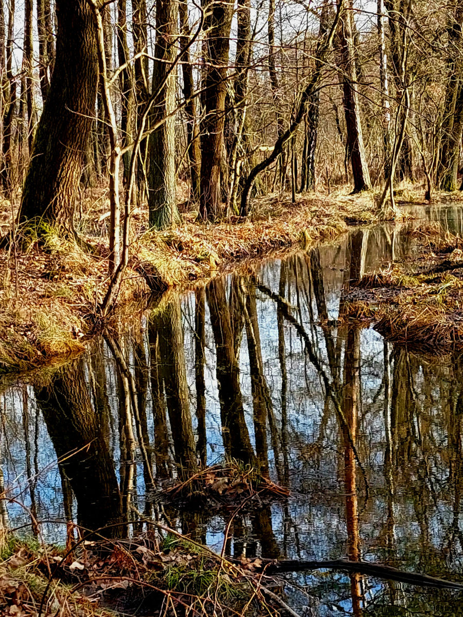 20260308_155020.jpg