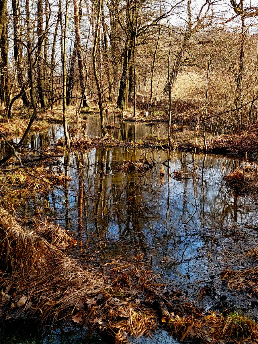 20260308_155124.jpg