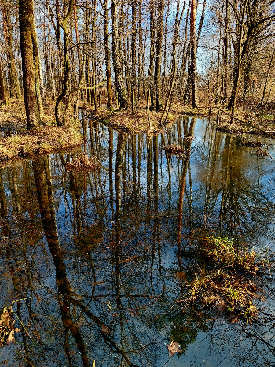 20260308_155332.jpg