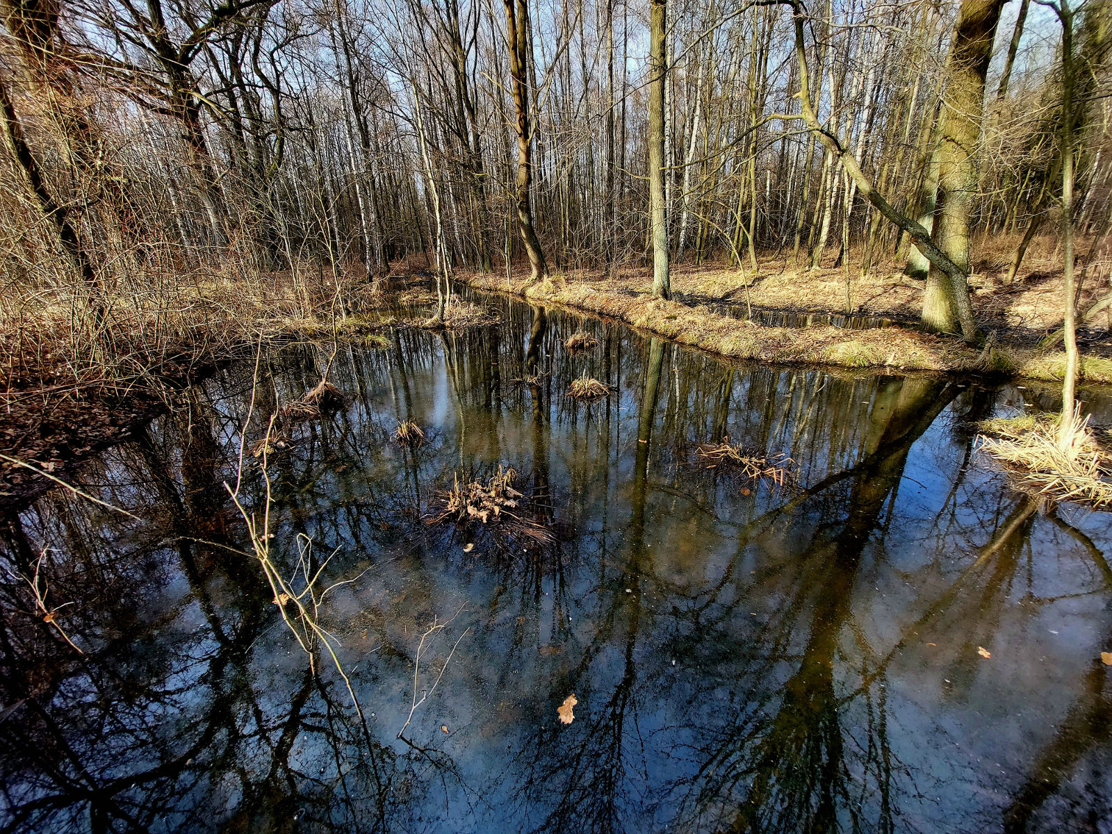 20260308_155630.jpg