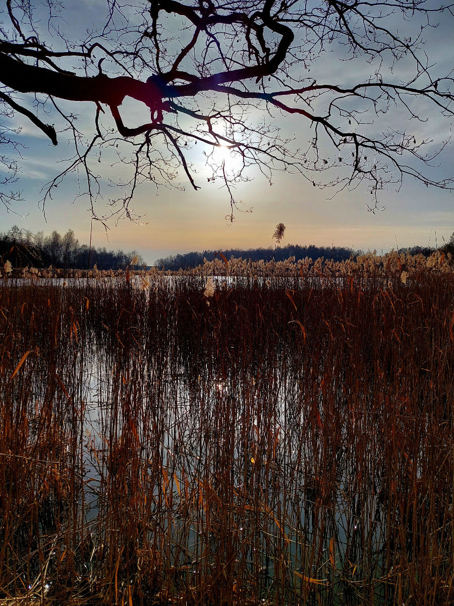 20260308_155824.jpg