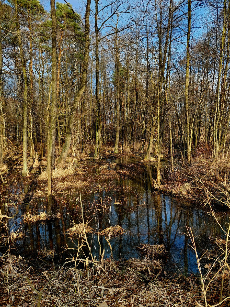 20260308_155915.jpg