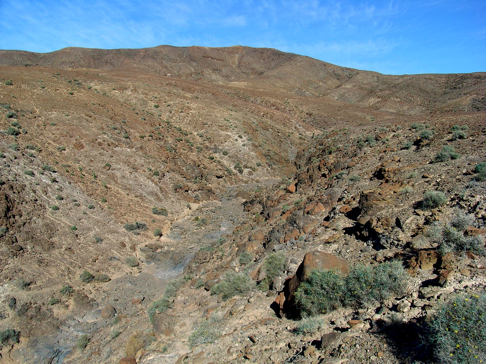 P25G0832.JPG