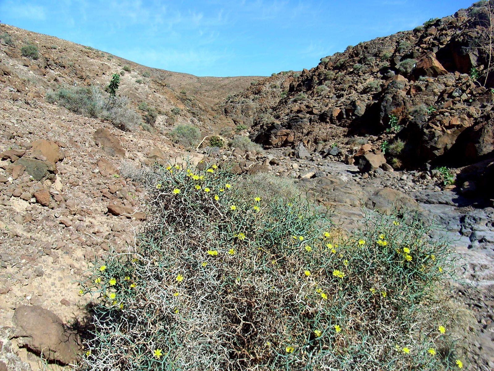 P25G0834.JPG