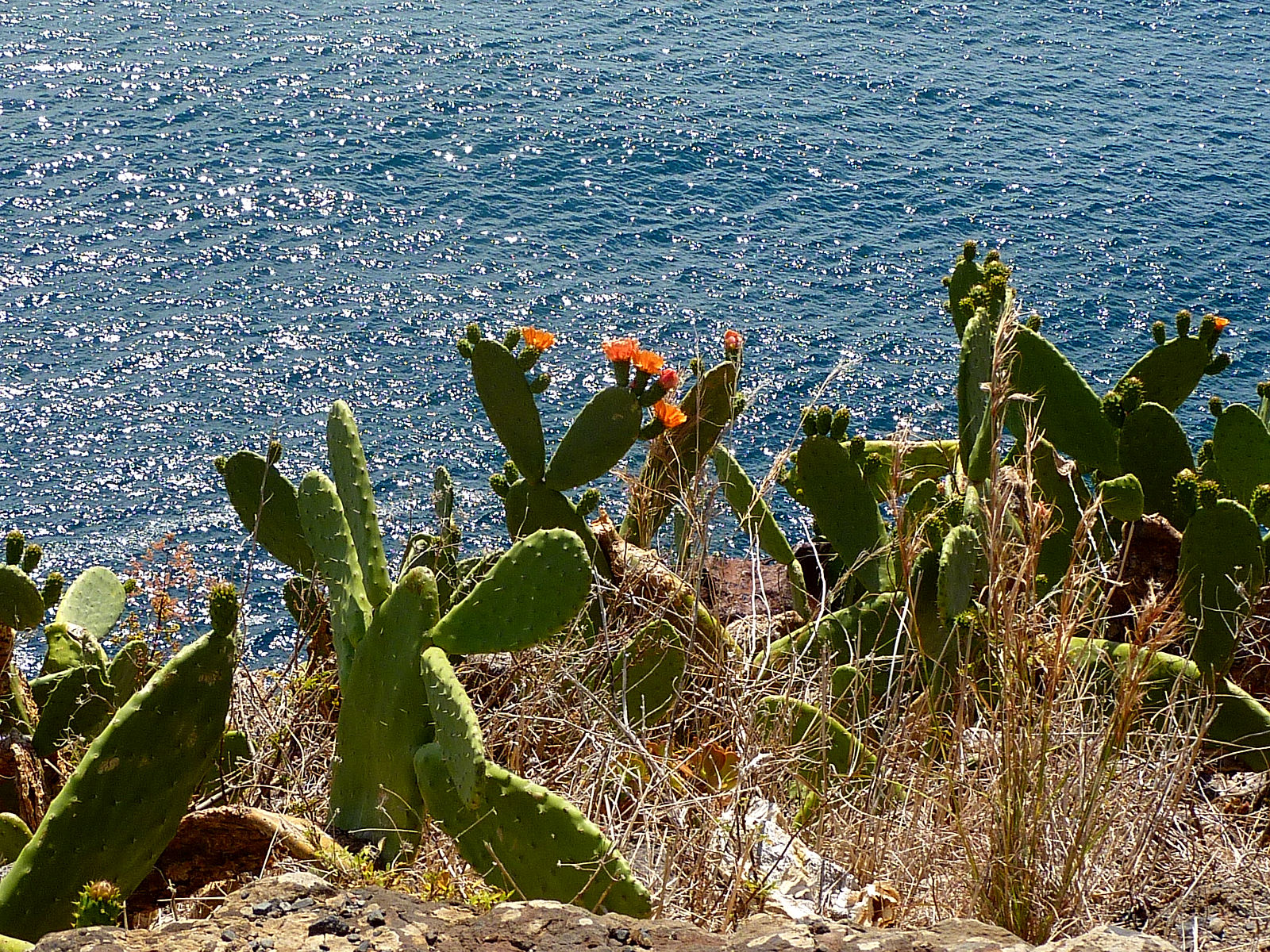 P2200299.JPG