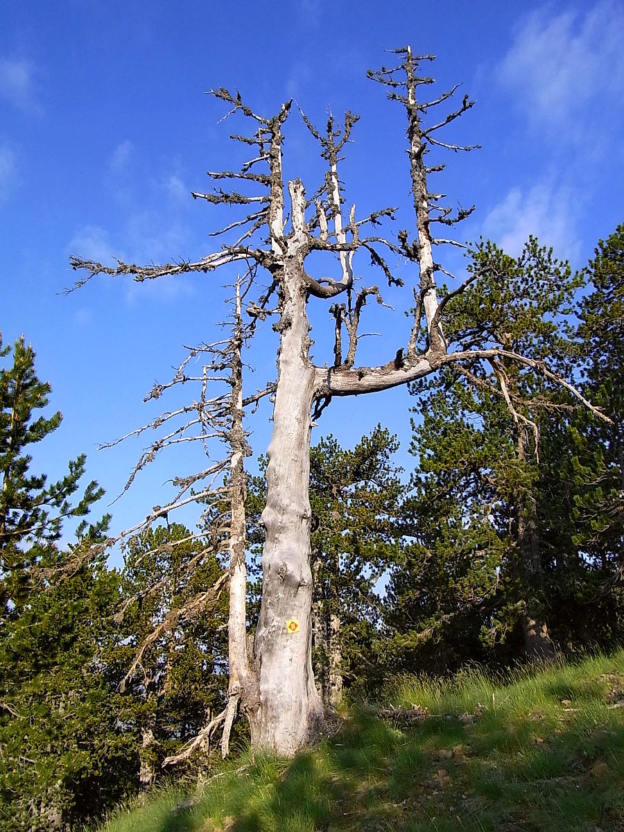P21G1836.JPG