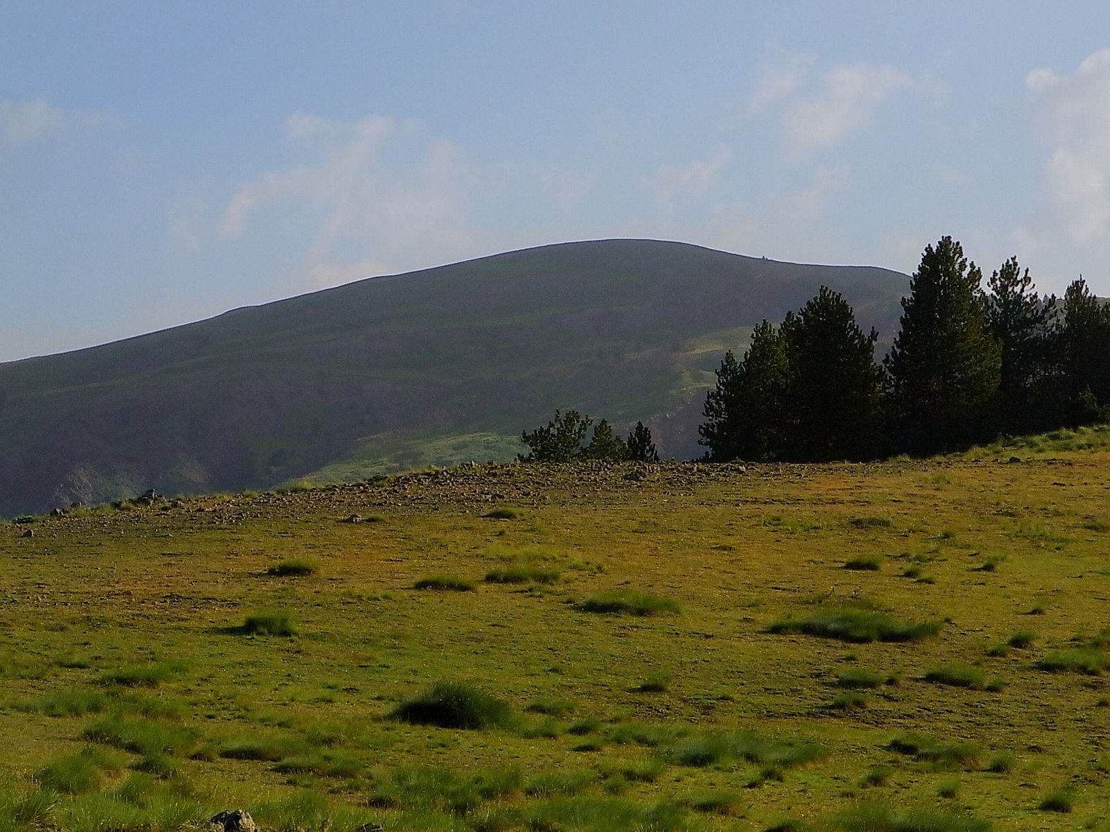 P21G1839.JPG