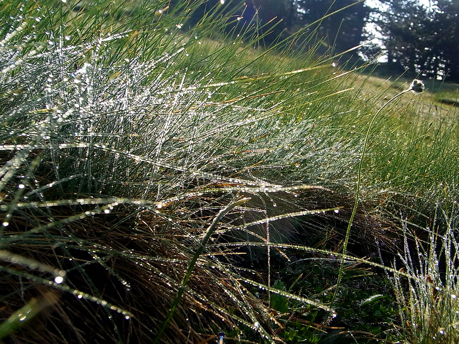 P21G1844.JPG