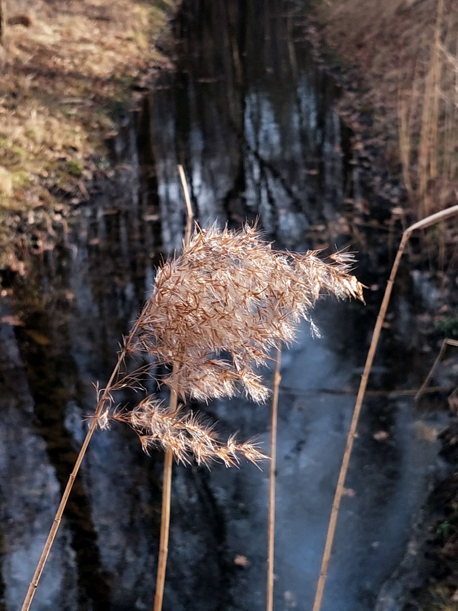 20260308_160225.jpg