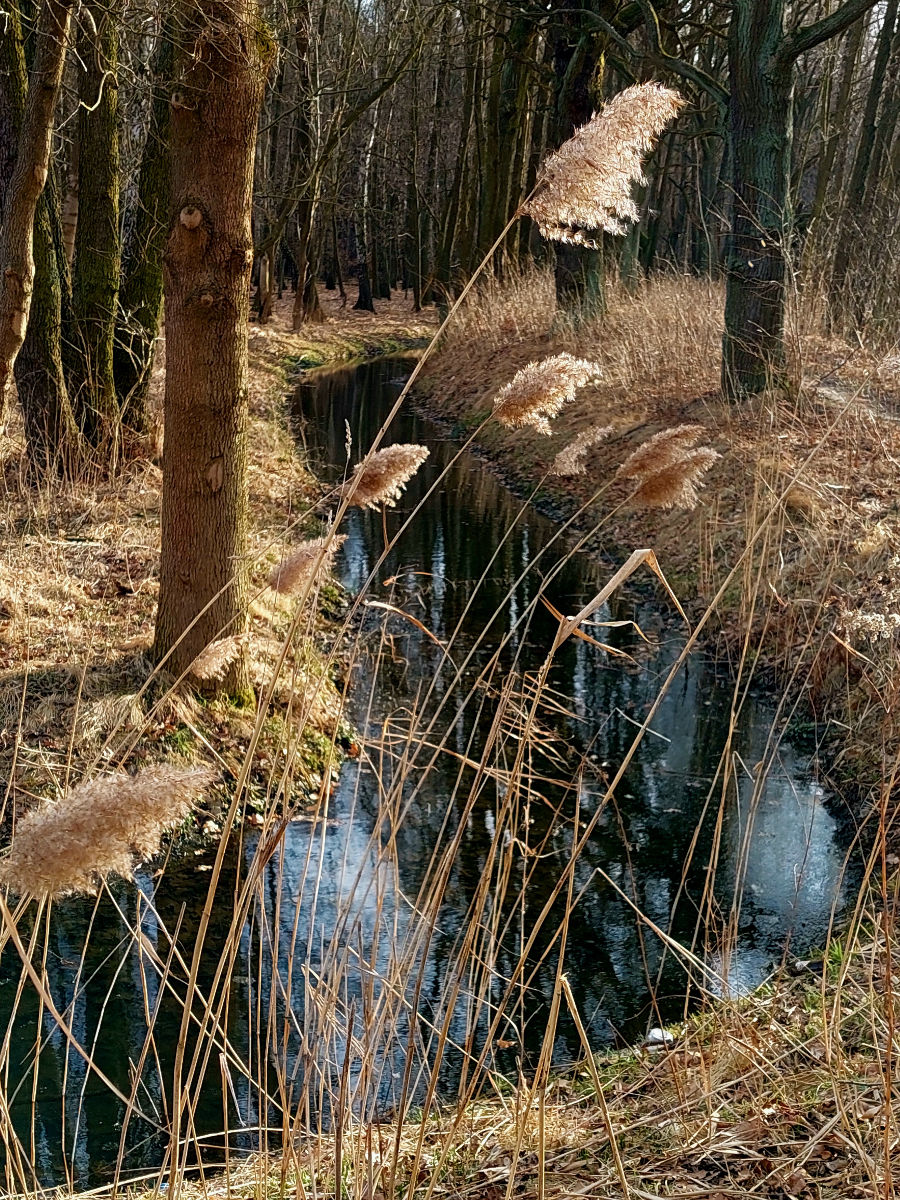 20260308_160257.jpg