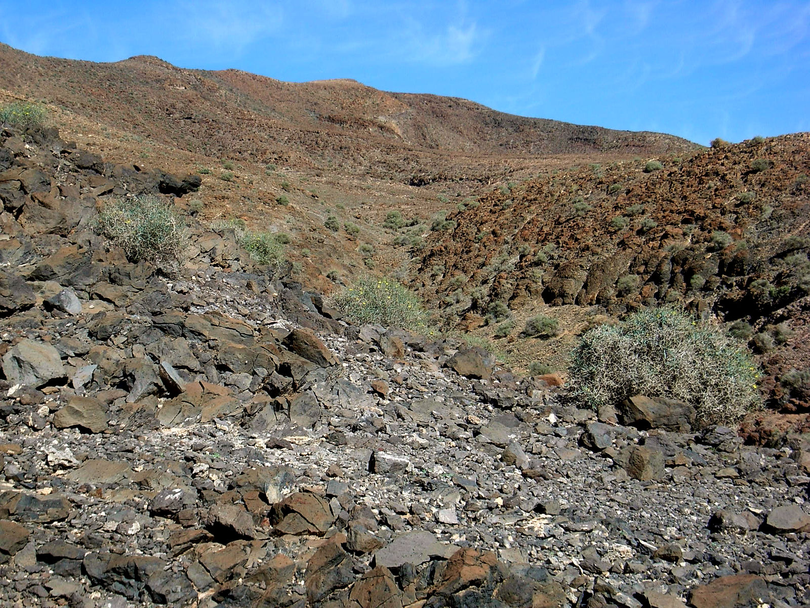 P25G0839.JPG