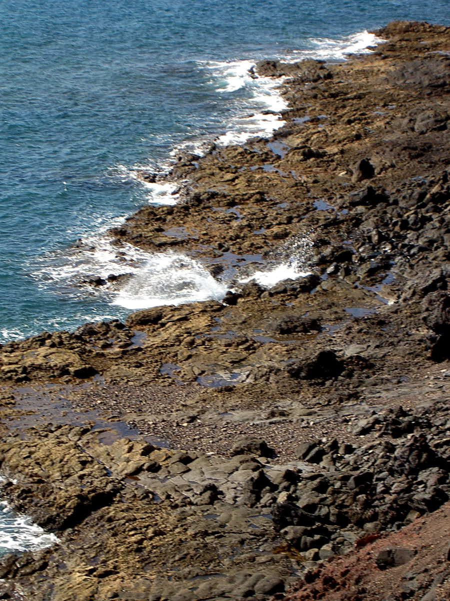 PICT4976.JPG