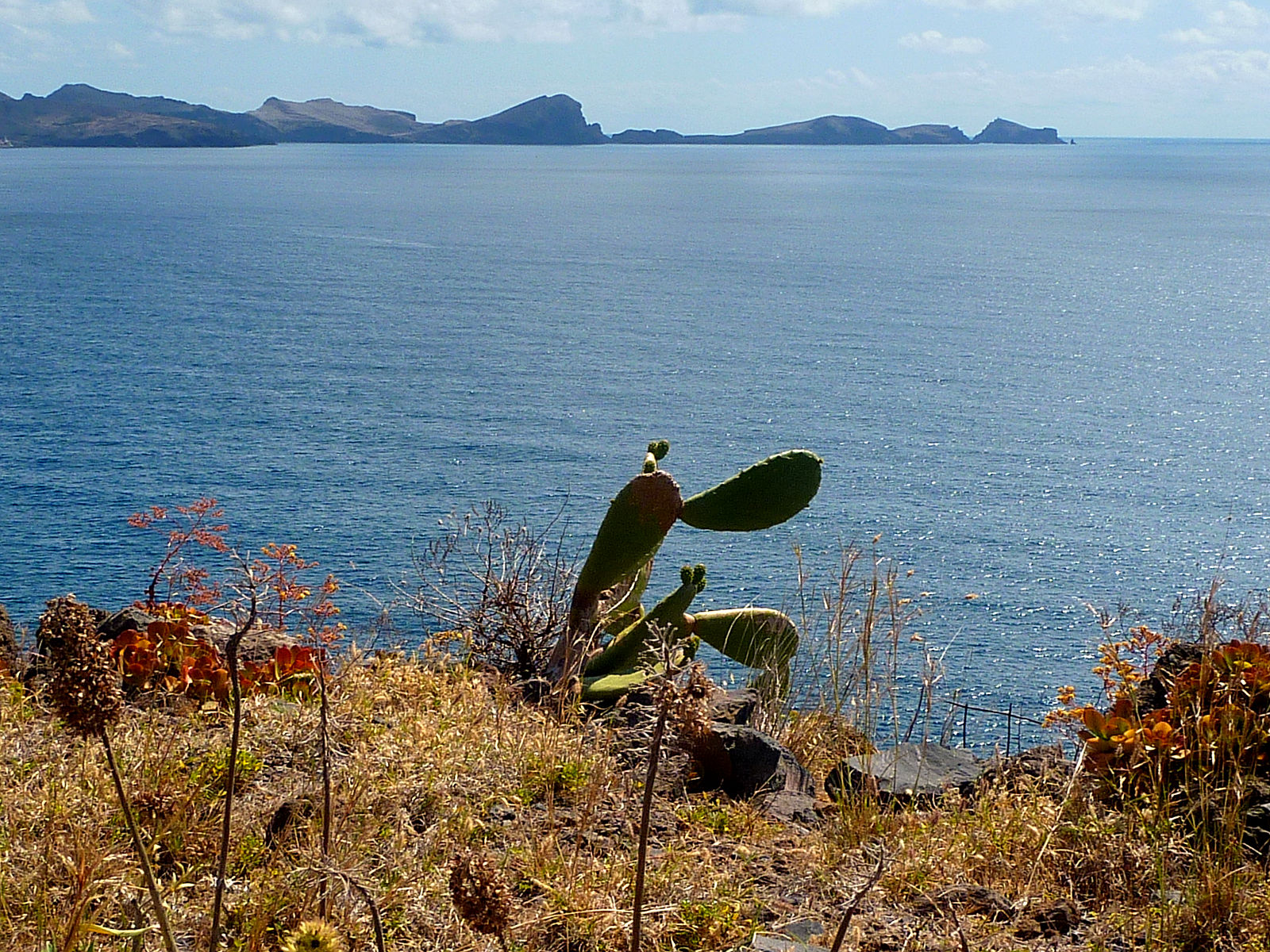P2200301.JPG