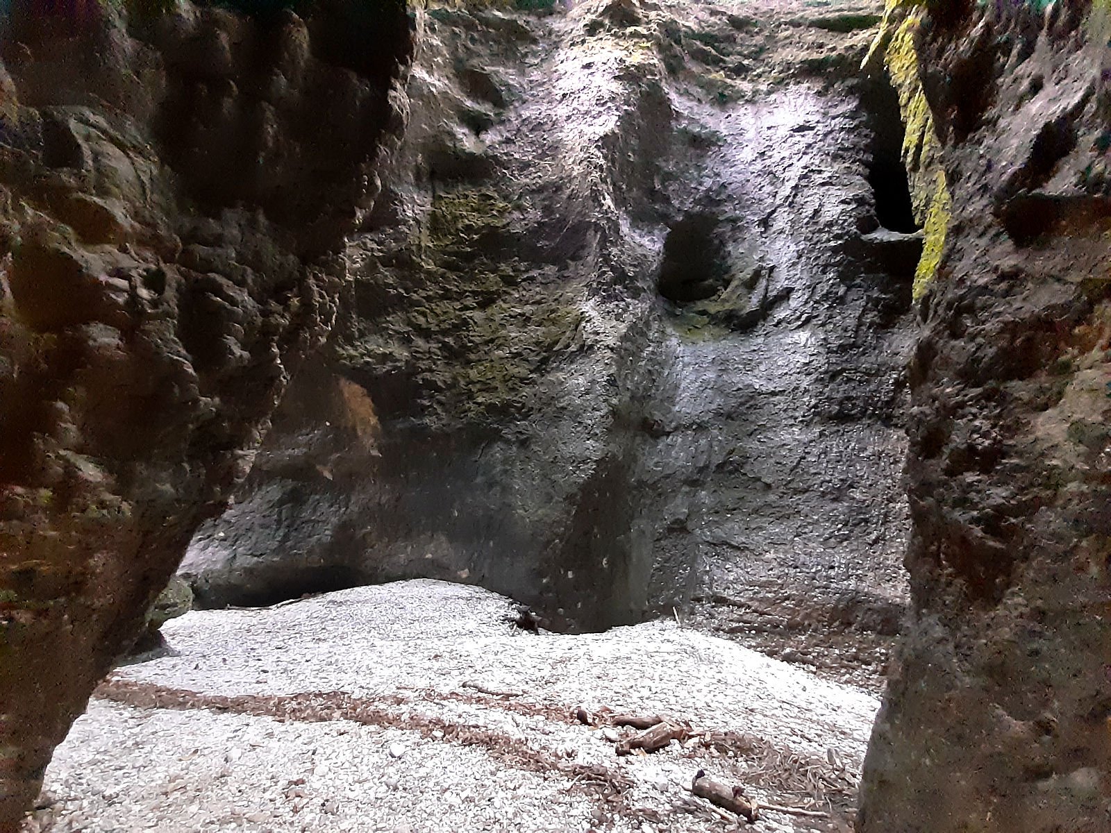 20230127_092337.jpg