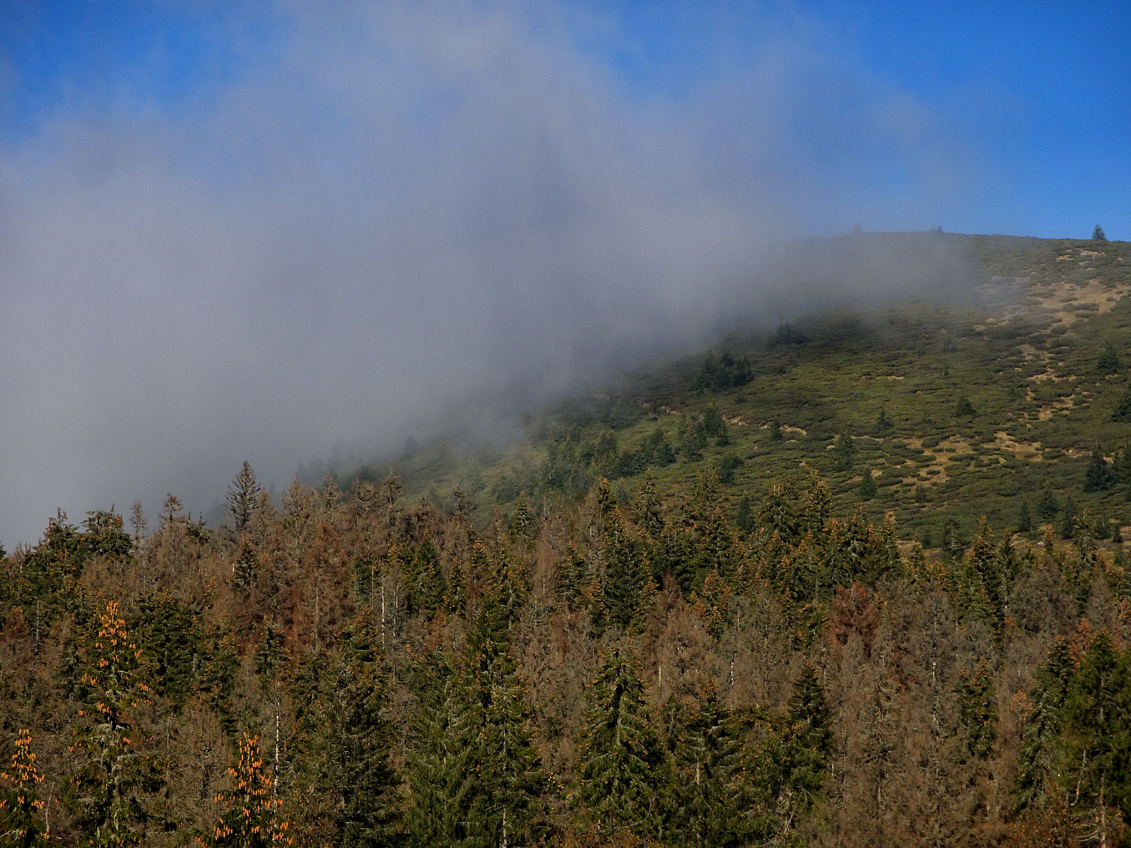 DSC01016.JPG