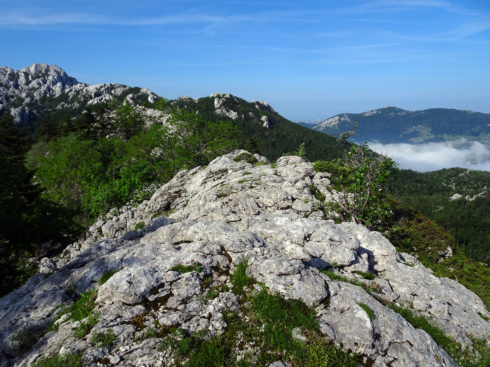DSC01090.JPG