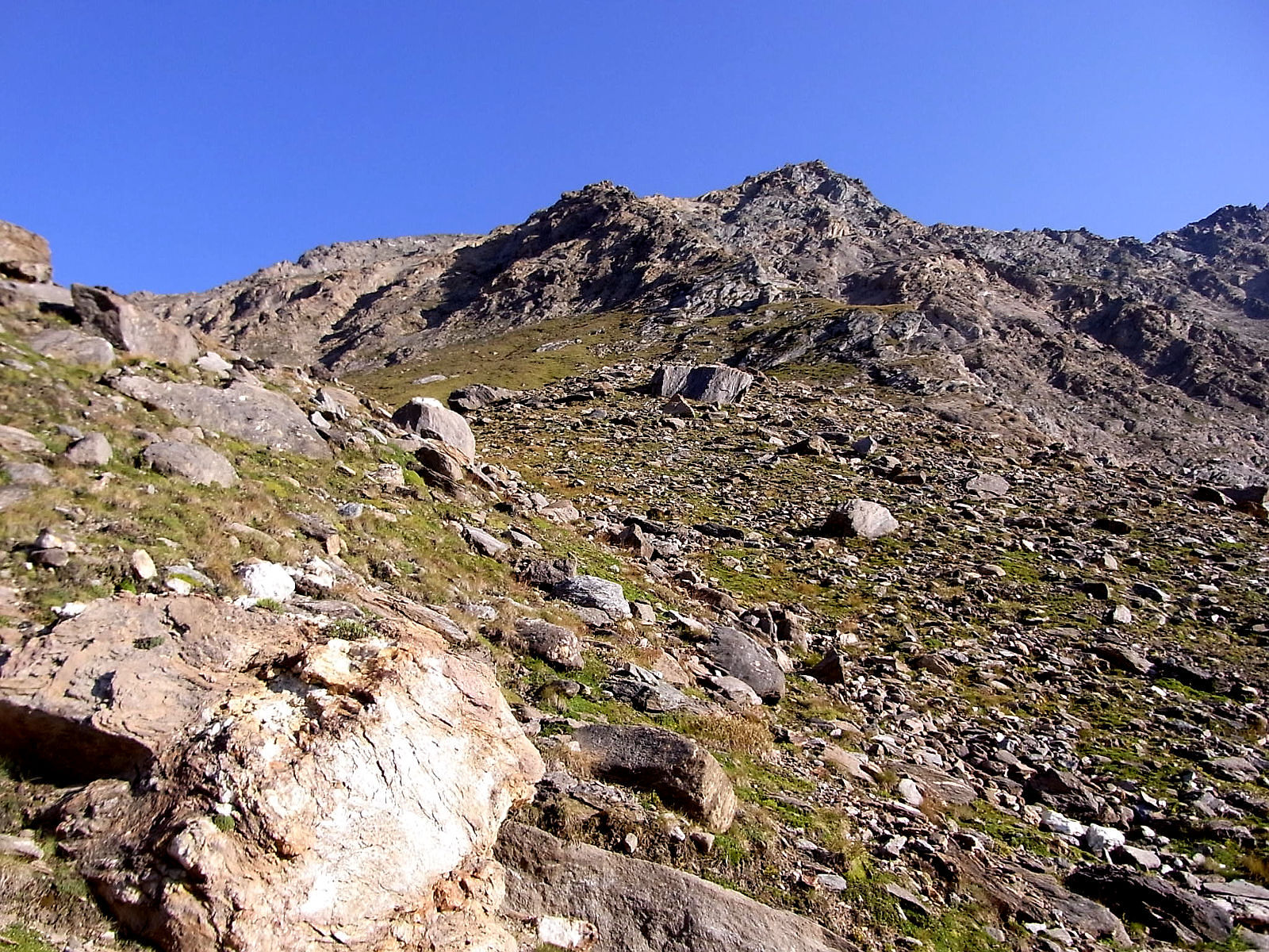RIMG0986.JPG