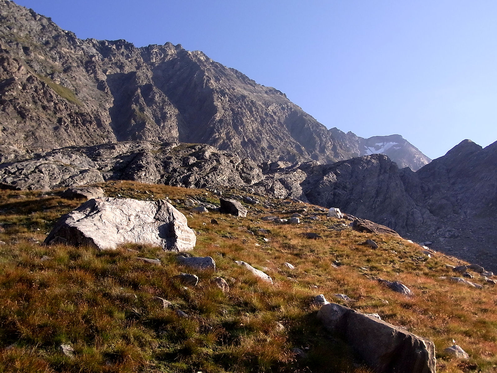 RIMG0990.JPG