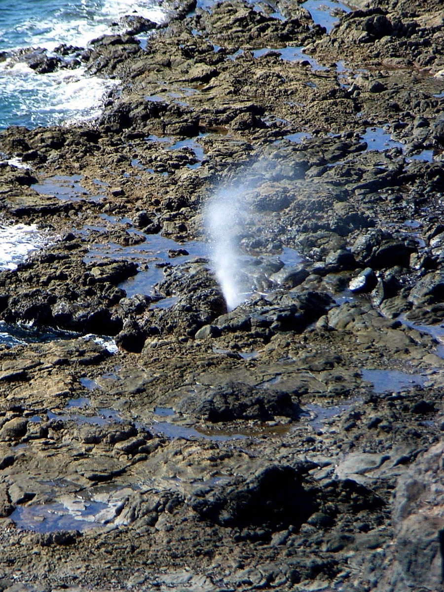 P25G0853.JPG