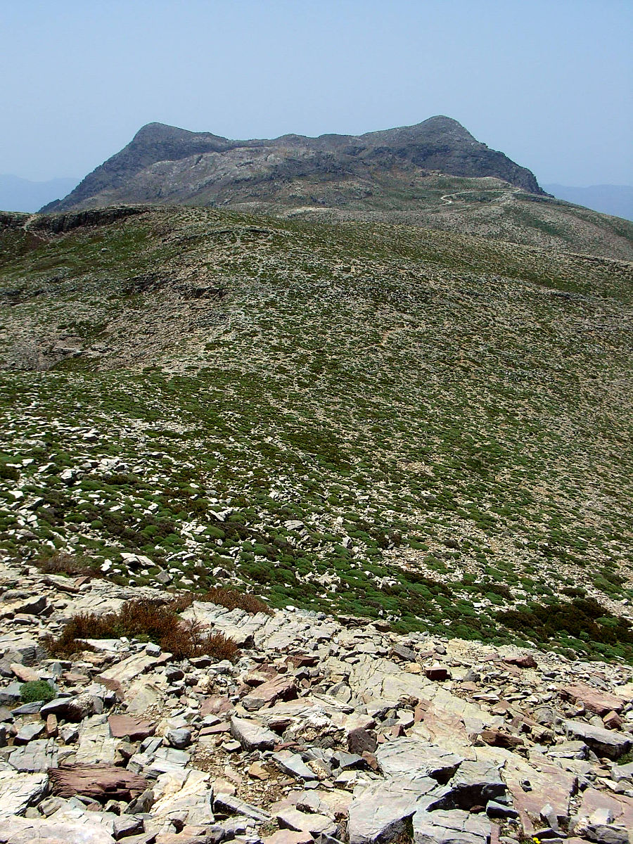 P5020079.JPG