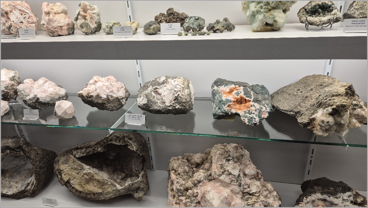 4-20260318_145642.jpg