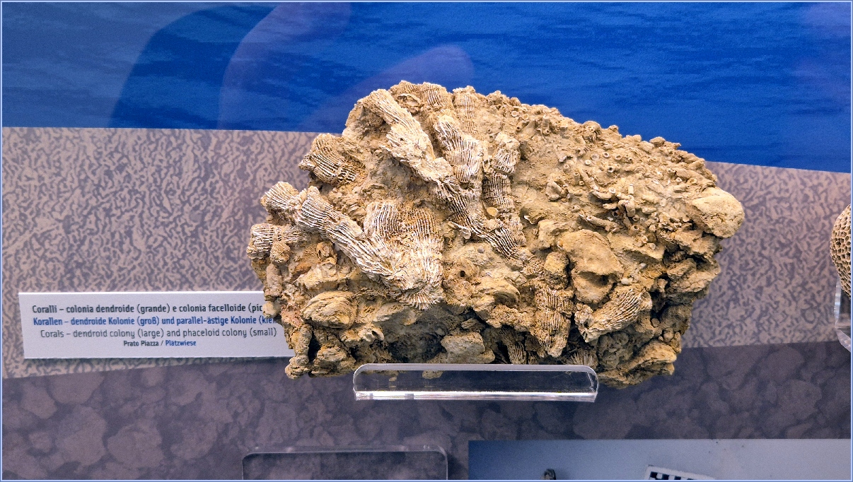 10-20260318_150504.jpg