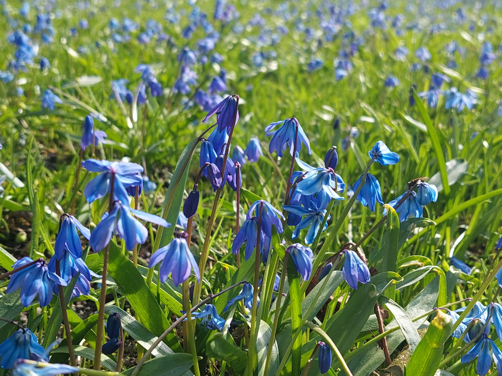 20260401_100703.jpg