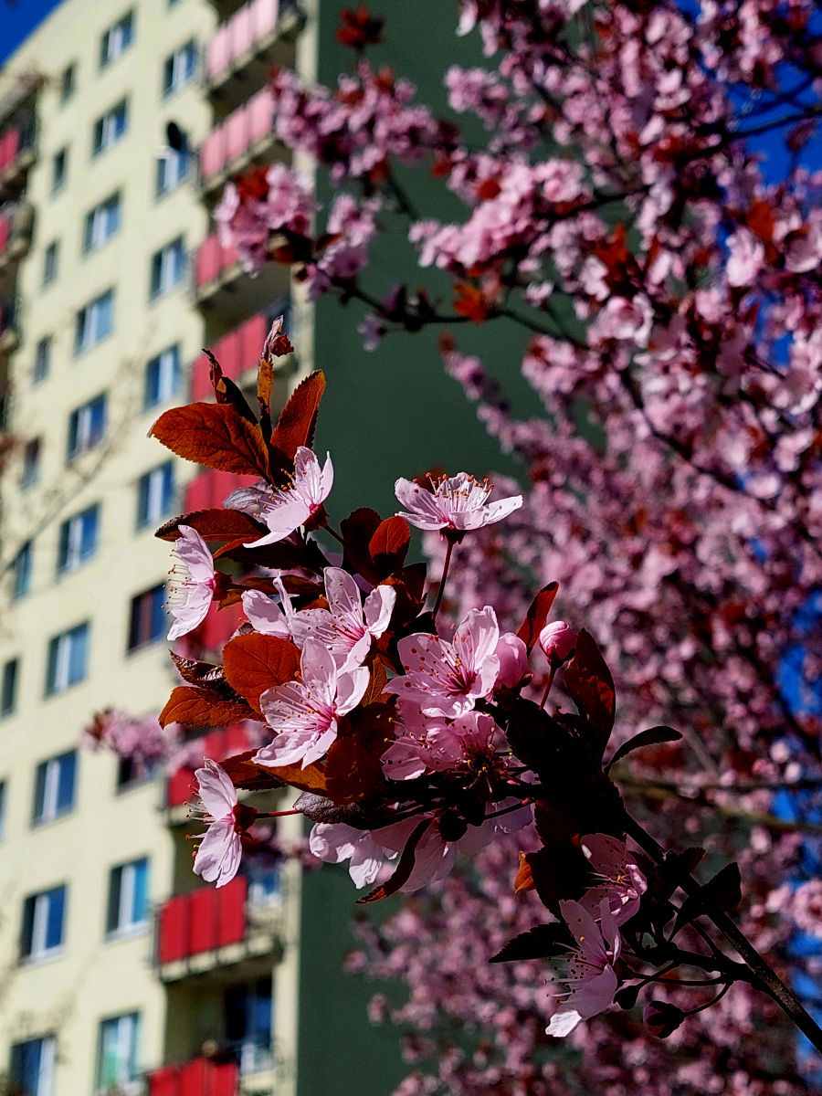 20260407_110250.jpg