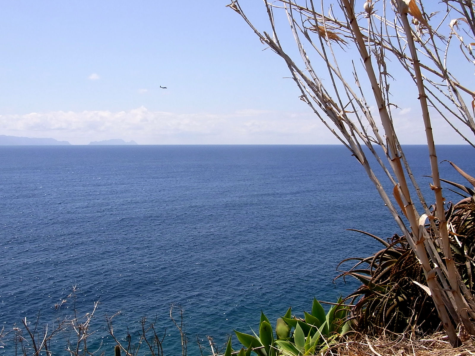 P22G1693.JPG