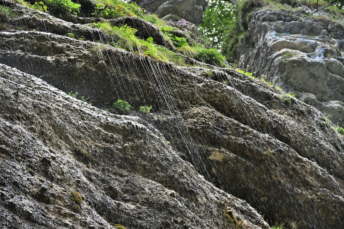 DSC_0313_00085.jpg
