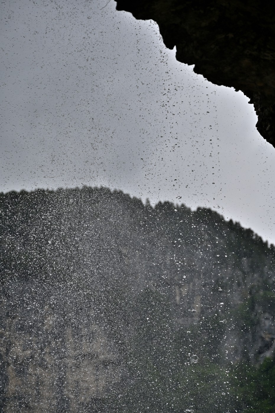 DSC_0498_00266.jpg