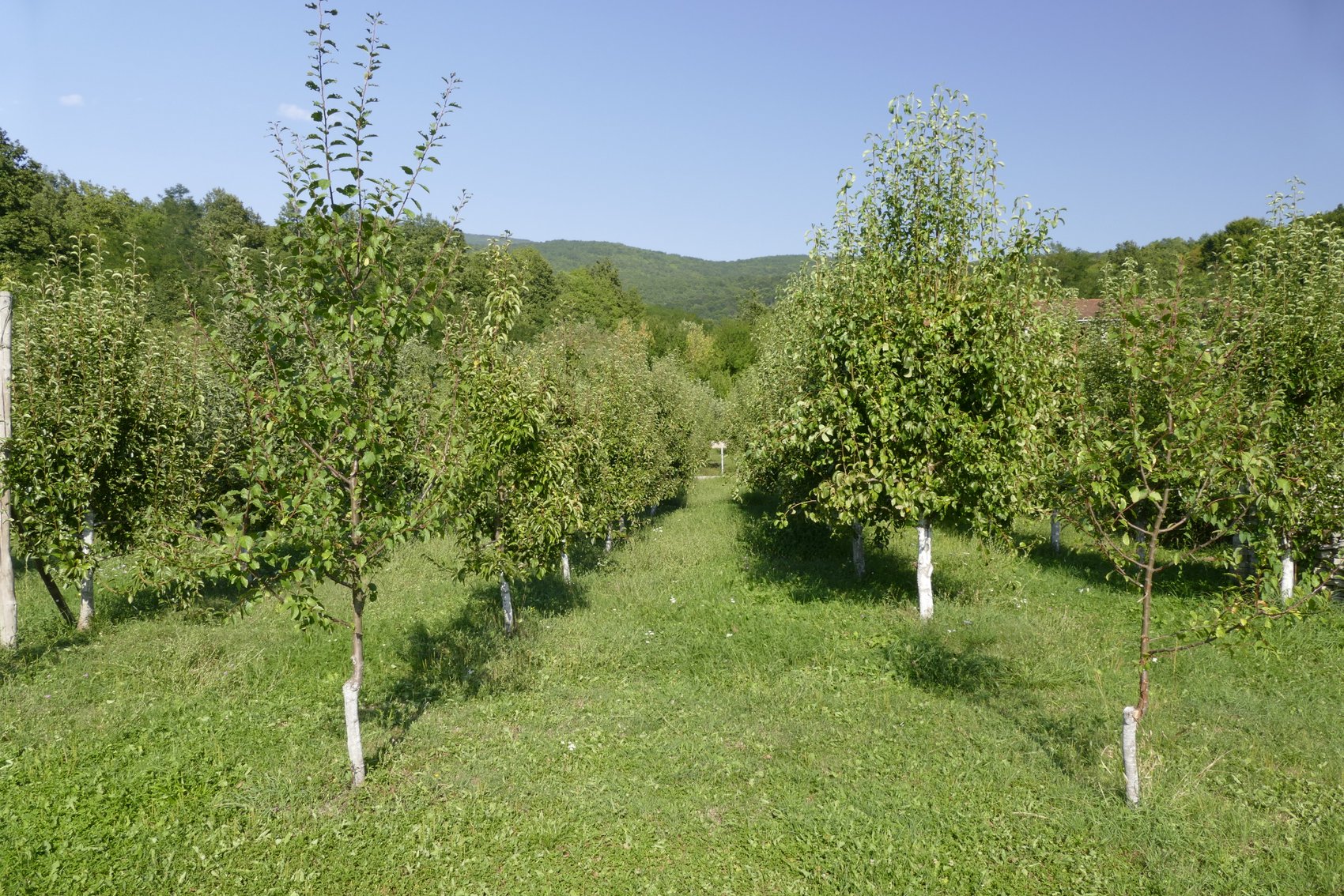14.JPG