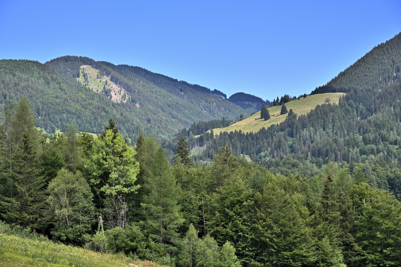 DSC_0232_00008.jpg