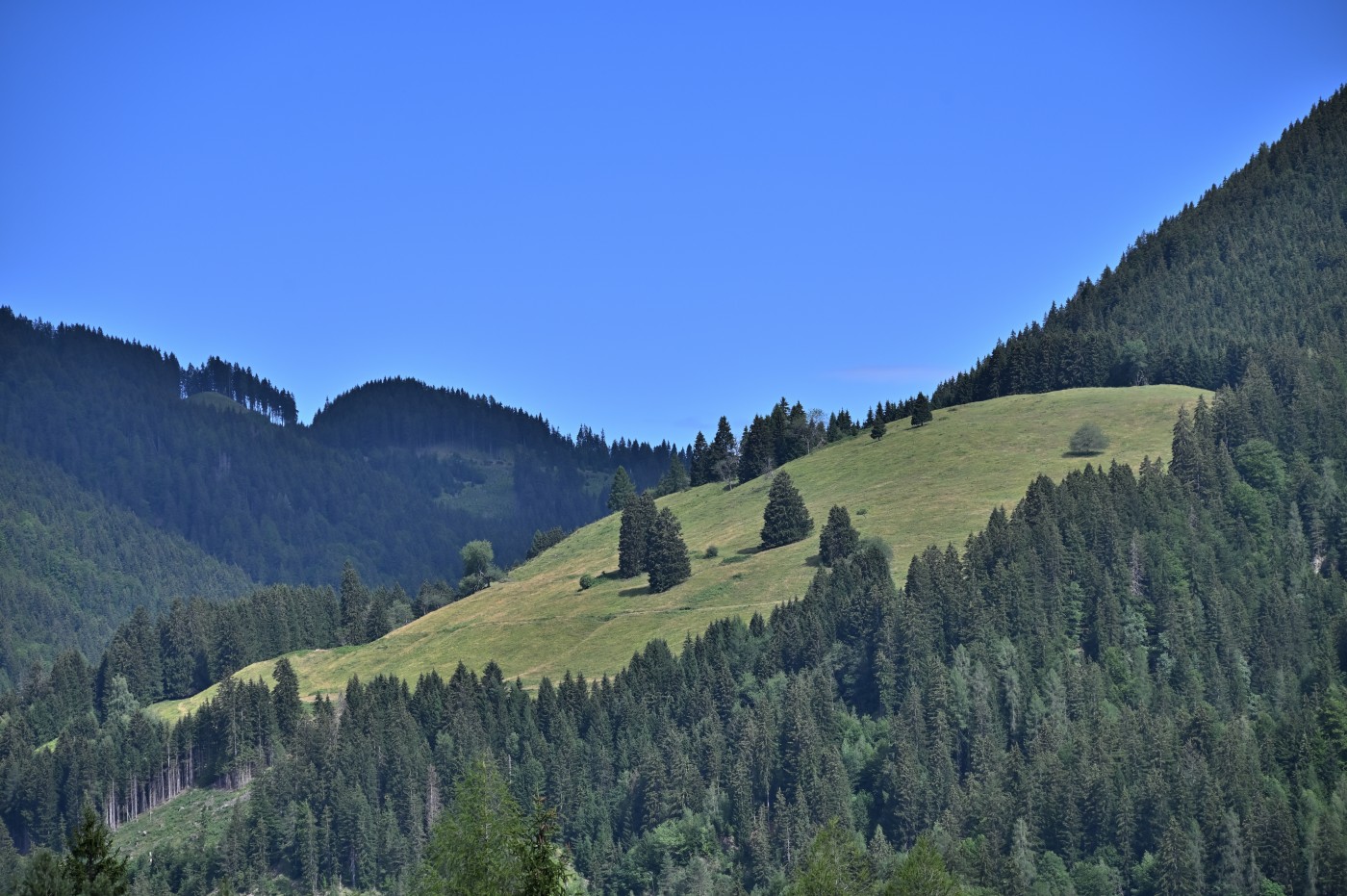 DSC_0233_00009.jpg