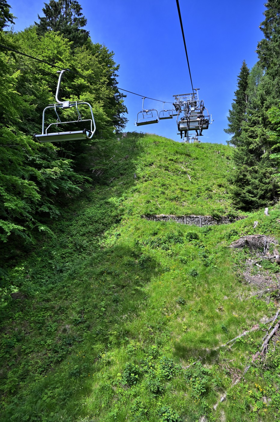DSC_0244_00019.jpg