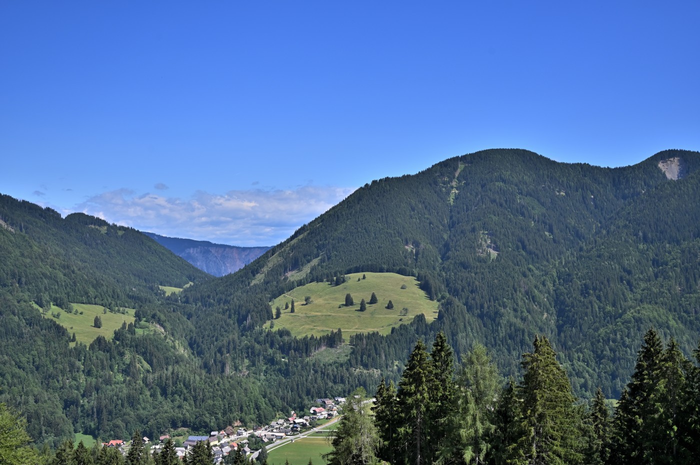 DSC_0246_00021.jpg