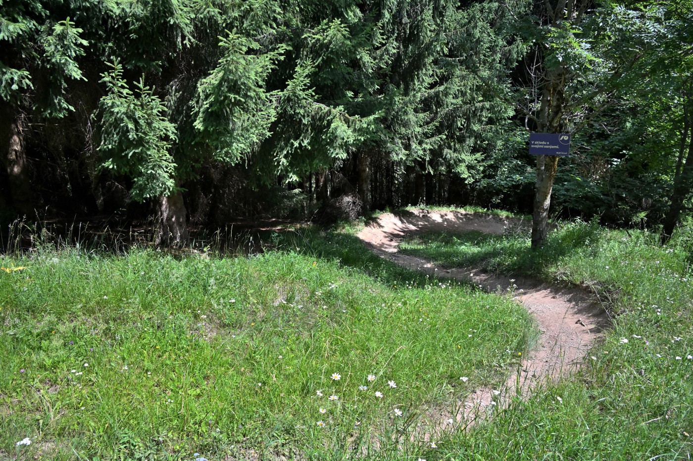 DSC_0258_00032.jpg