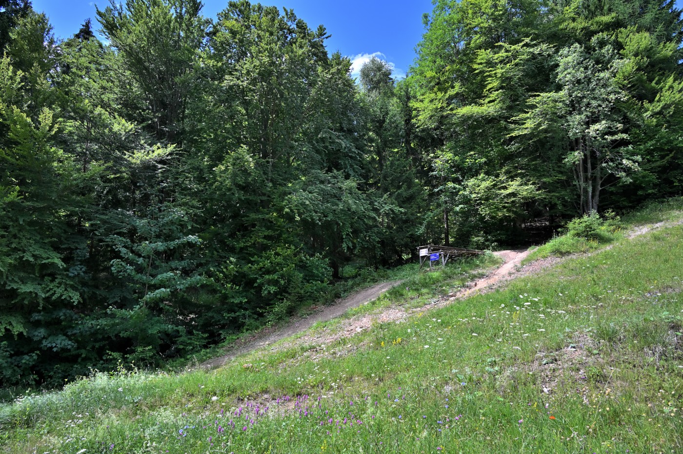 DSC_0261_00035.jpg