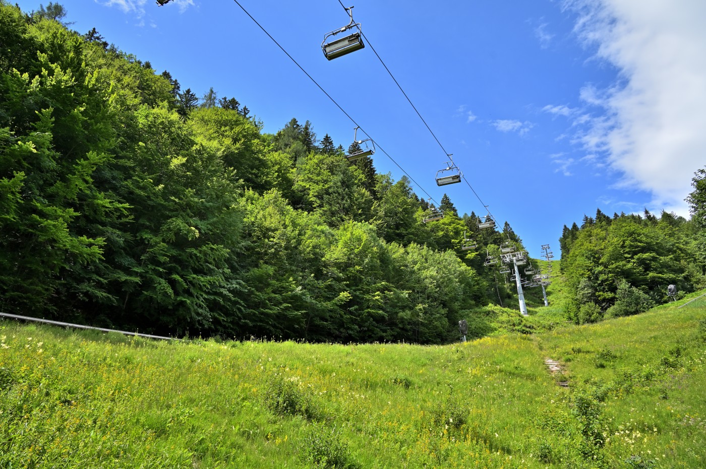 DSC_0262_00036.jpg